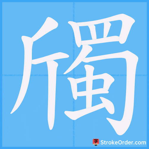 斶 Stroke Order Animation
