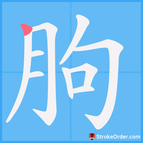朐 Stroke Order Animation