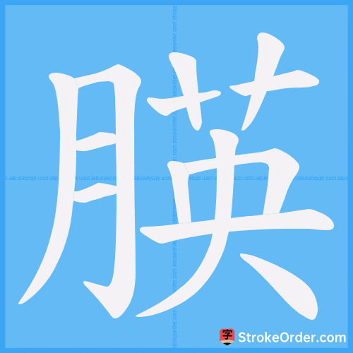 朠 Stroke Order Animation