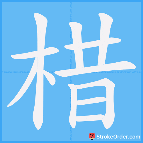 棤 Stroke Order Animation