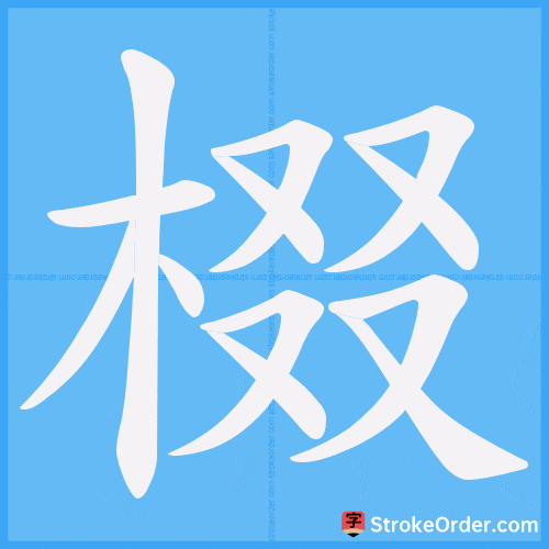 棳 Stroke Order Animation
