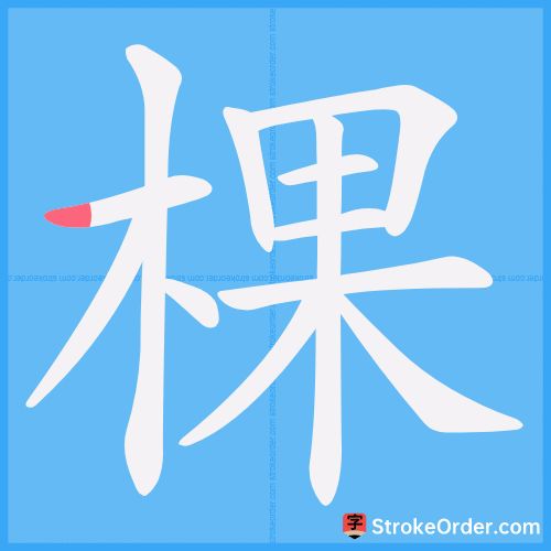 棵 Stroke Order Animation