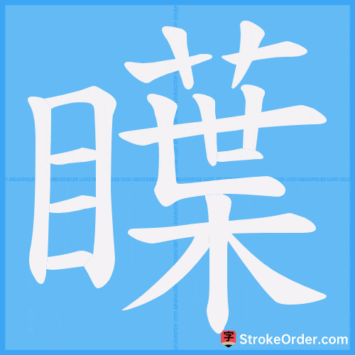 瞸 Stroke Order Animation