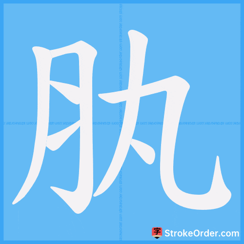 肒 Stroke Order Animation