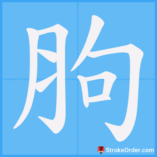 胊 Stroke Order Animation