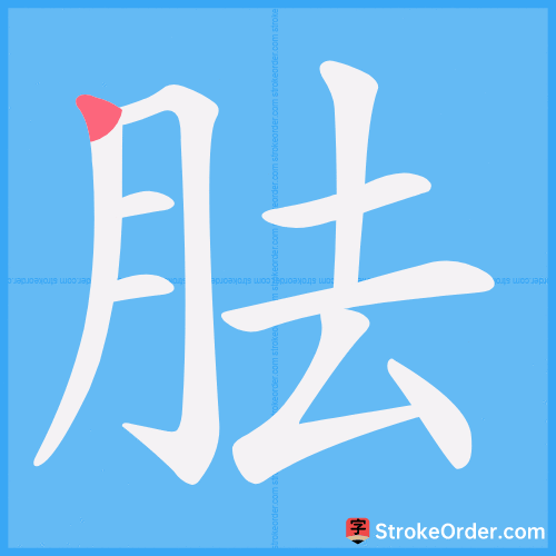 胠 Stroke Order Animation
