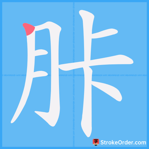 胩 Stroke Order Animation