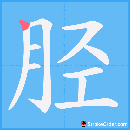 胫 Stroke Order Animation
