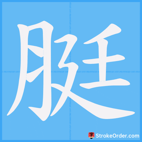 脡 Stroke Order Animation