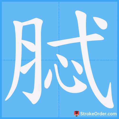脦 Stroke Order Animation