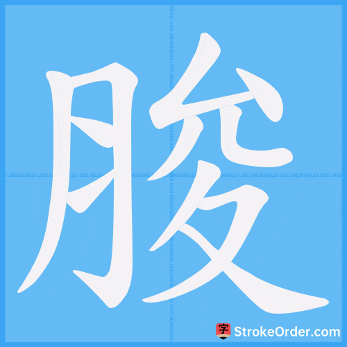 脧 Stroke Order Animation
