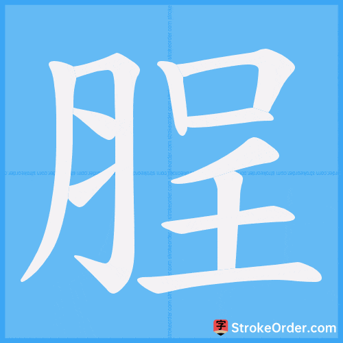 脭 Stroke Order Animation