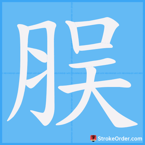 脵 Stroke Order Animation
