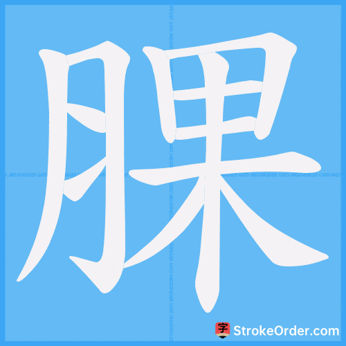 腂 Stroke Order Animation