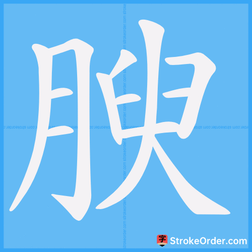 腴 Stroke Order Animation