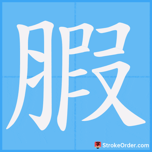 腵 Stroke Order Animation