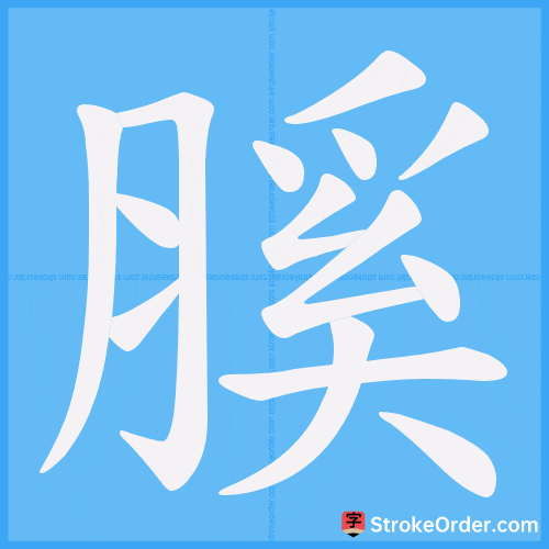 膎 Stroke Order Animation