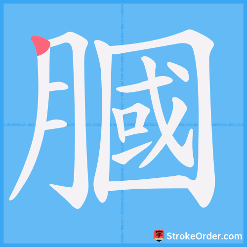 膕 Stroke Order Animation