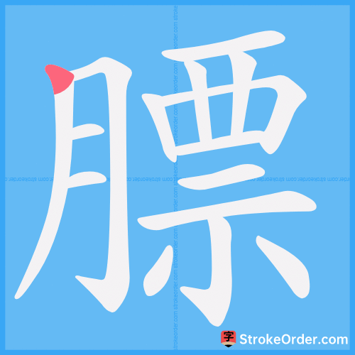 膘 Stroke Order Animation