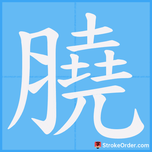 膮 Stroke Order Animation
