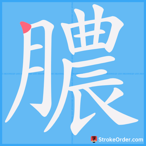 膿 Stroke Order Animation