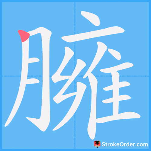 臃 Stroke Order Animation