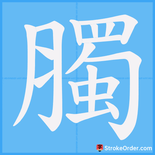 臅 Stroke Order Animation