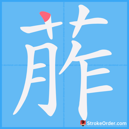 葄 Stroke Order Animation