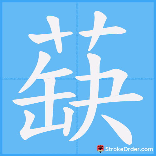 蒛 Stroke Order Animation