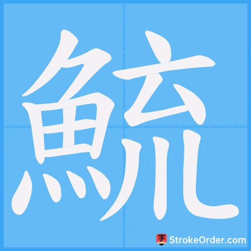 鯍 Stroke Order Animation