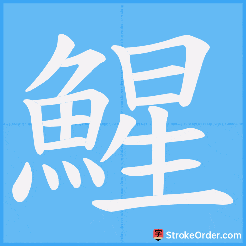 鯹 Stroke Order Animation