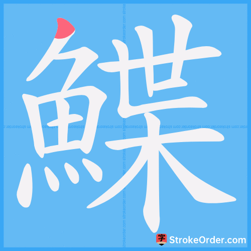 鰈 Stroke Order Animation