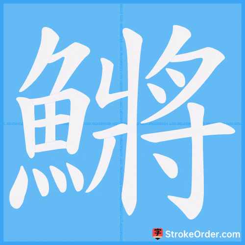 鱂 Stroke Order Animation