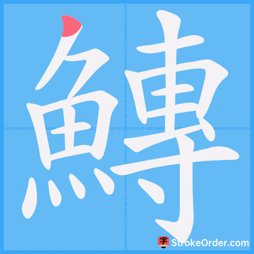 鱄 Stroke Order Animation