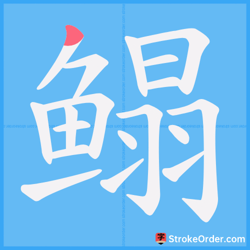 鳎 Stroke Order Animation