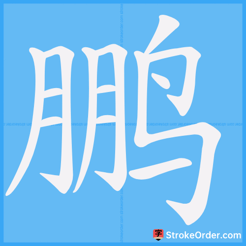 鹏 Stroke Order Animation