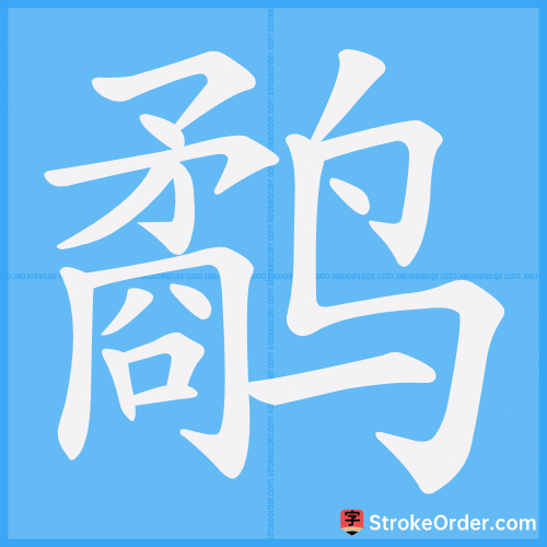 鹬 Stroke Order Animation