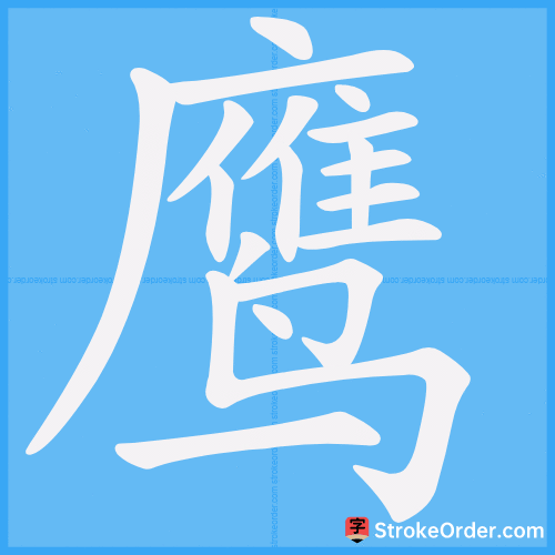 鹰 Stroke Order Animation