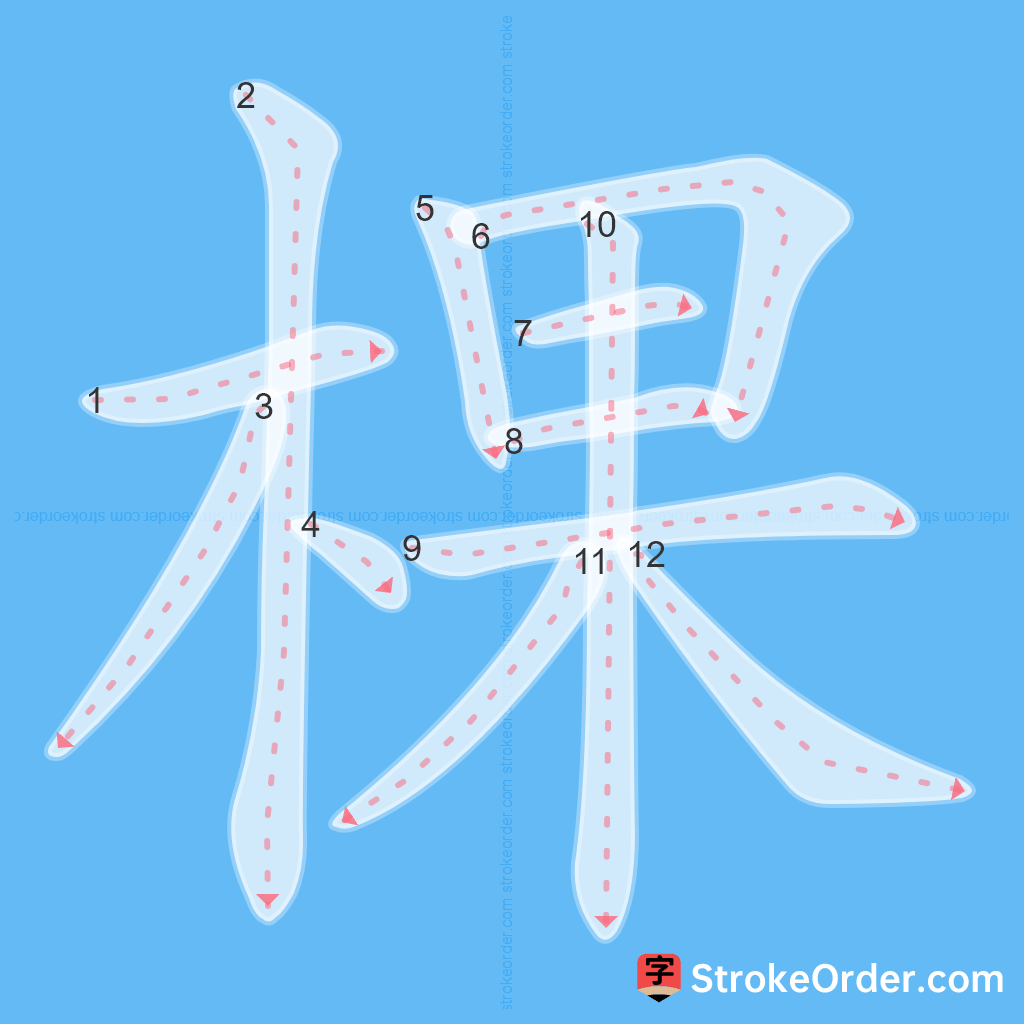 Standard stroke order for the Chinese character 棵