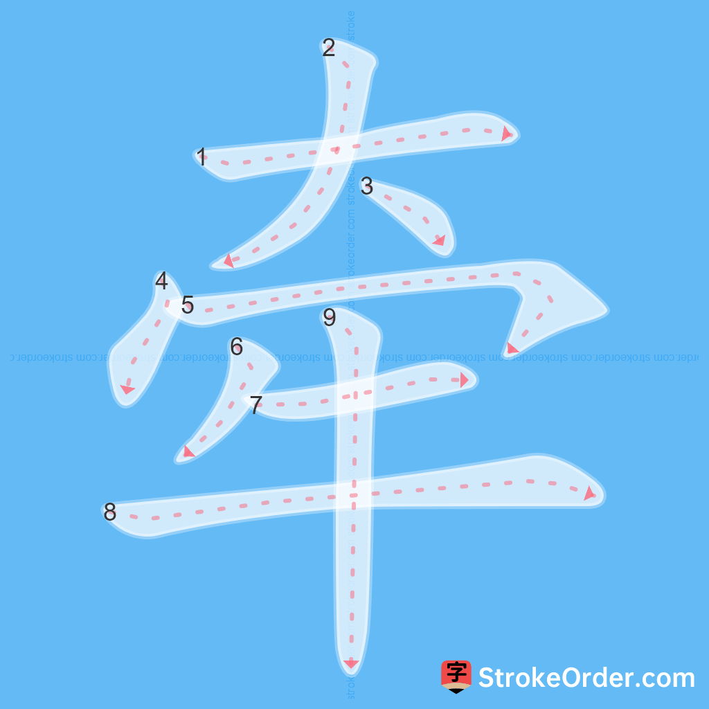 Standard stroke order for the Chinese character 牵