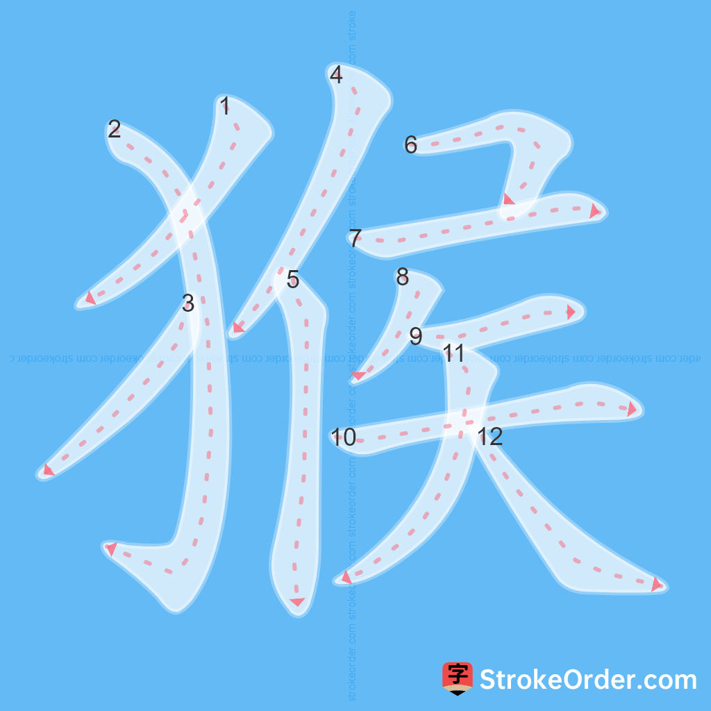 Standard stroke order for the Chinese character 猴