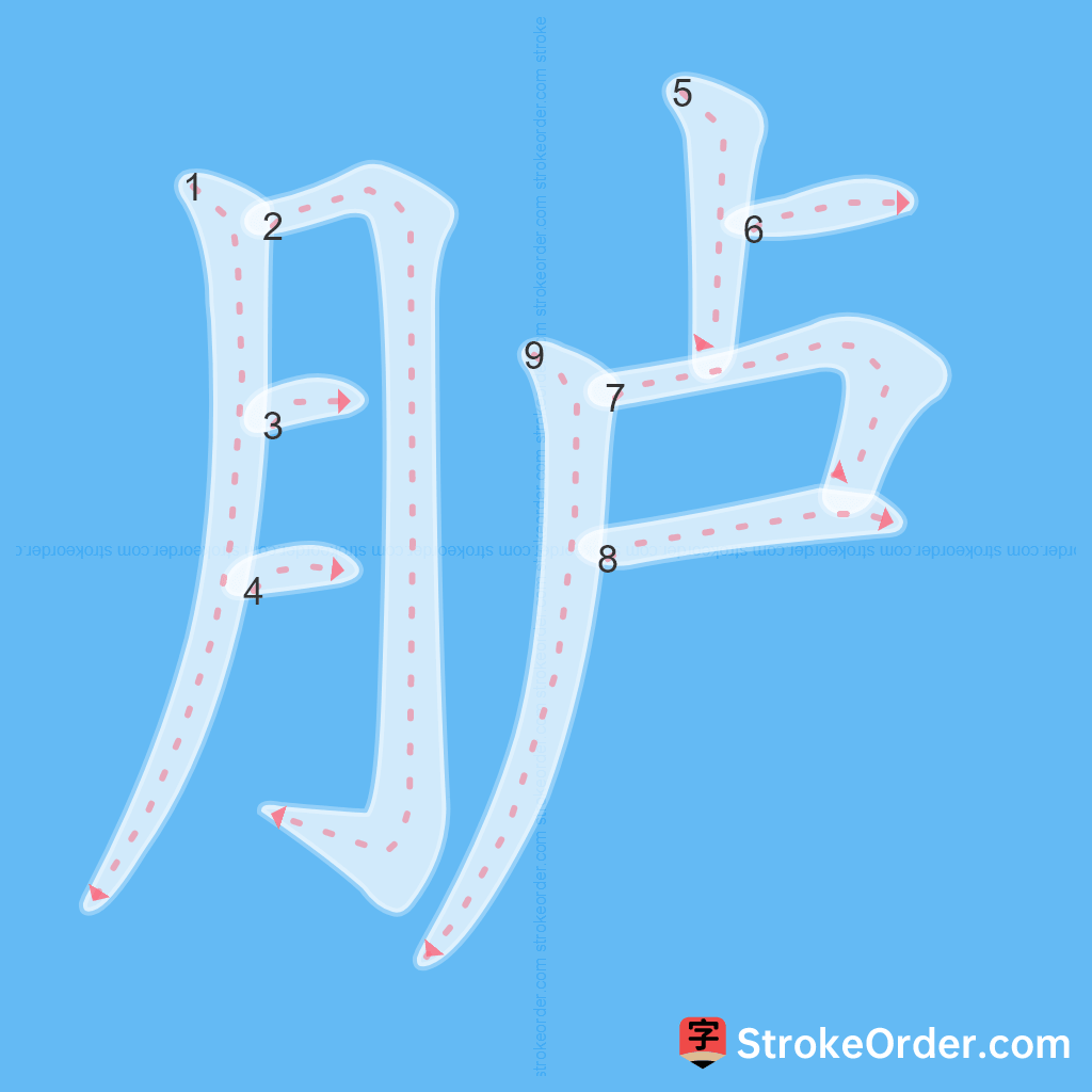 Standard stroke order for the Chinese character 胪