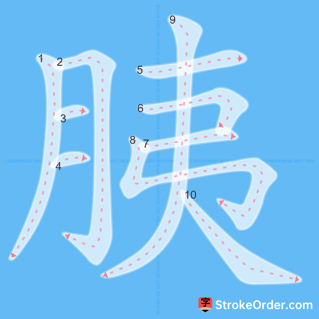 Standard stroke order for the Chinese character 胰