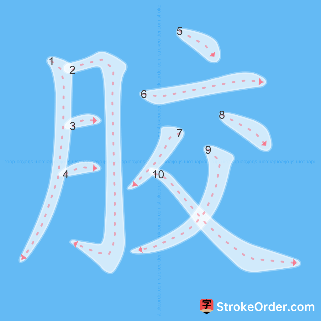 Standard stroke order for the Chinese character 胶