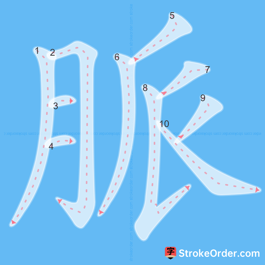 Standard stroke order for the Chinese character 脈