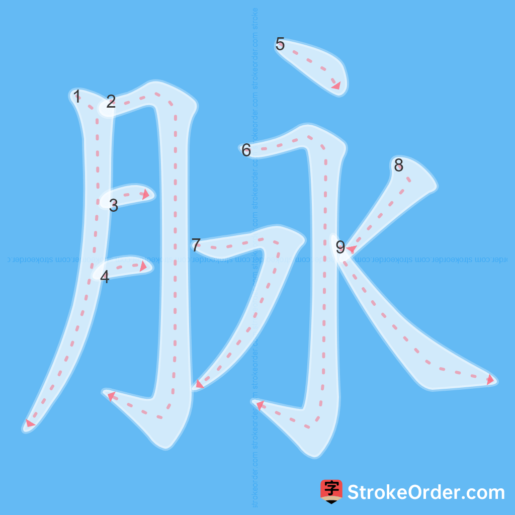 Standard stroke order for the Chinese character 脉