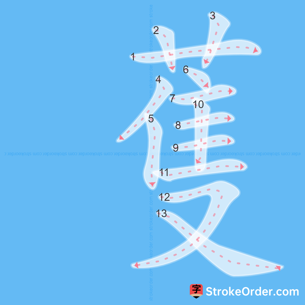 Standard stroke order for the Chinese character 蒦