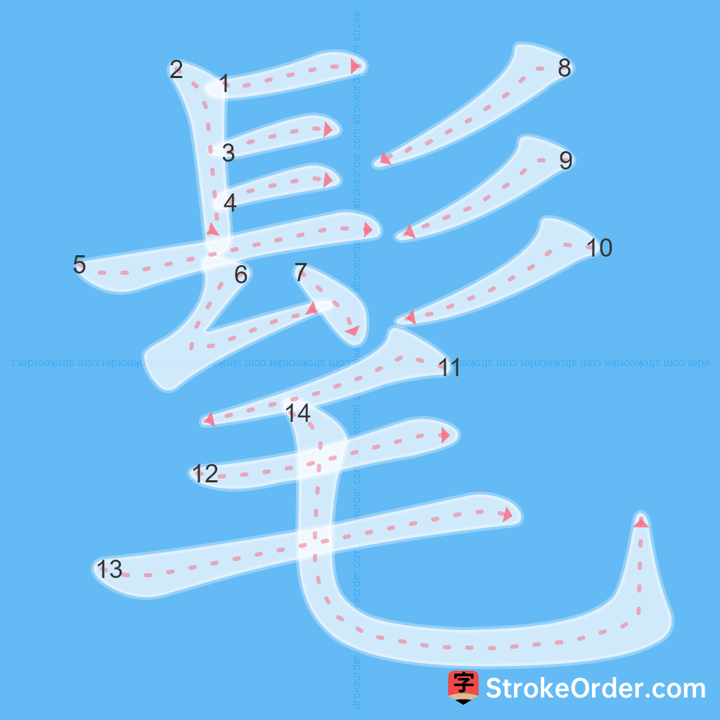 Standard stroke order for the Chinese character 髦