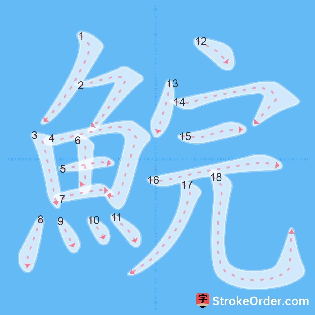 Standard stroke order for the Chinese character 鯇
