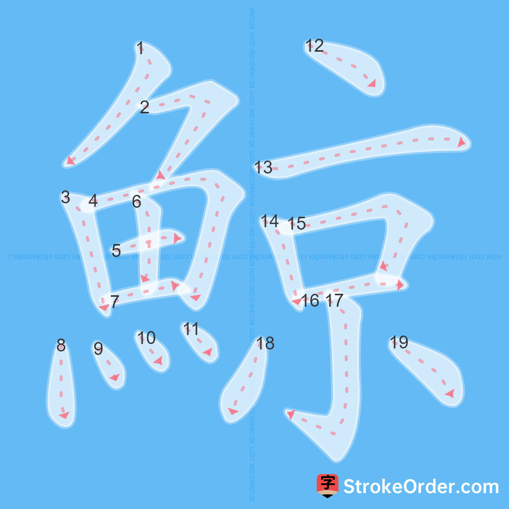 Standard stroke order for the Chinese character 鯨
